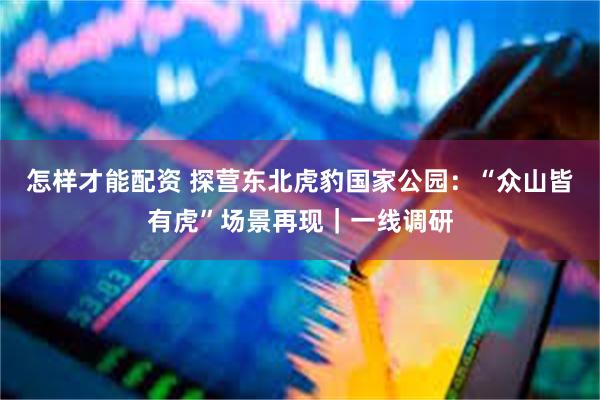 怎样才能配资 探营东北虎豹国家公园：“众山皆有虎”场景再现｜一线调研