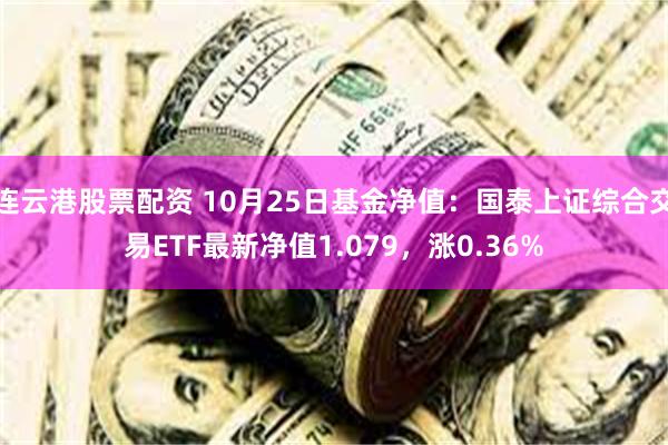 连云港股票配资 10月25日基金净值：国泰上证综合交易ETF最新净值1.079，涨0.36%