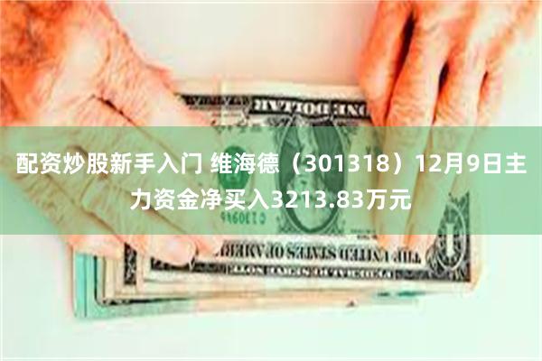 配资炒股新手入门 维海德（301318）12月9日主力资金净买入3213.83万元