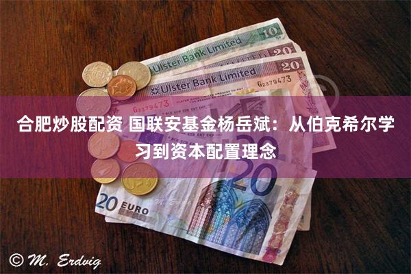 合肥炒股配资 国联安基金杨岳斌：从伯克希尔学习到资本配置理念