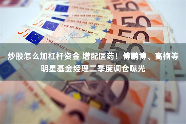 炒股怎么加杠杆资金 增配医药！傅鹏博、高楠等明星基金经理二季度调仓曝光