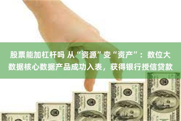 股票能加杠杆吗 从“资源”变“资产”：数位大数据核心数据产品成功入表，获得银行授信贷款