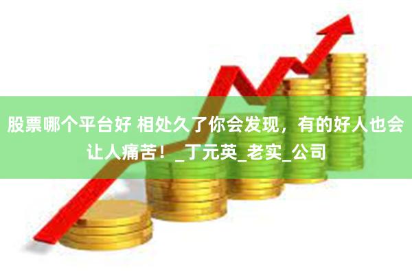 股票哪个平台好 相处久了你会发现，有的好人也会让人痛苦！_丁元英_老实_公司